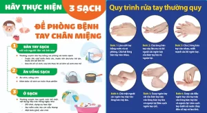PHÒNG, CHỐNG BỆNH TAY CHÂN MIỆNG TRONG CÁC CƠ SỞ GIÁO DỤC